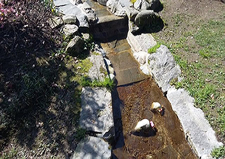 Yoga-World-Neuenburg, Sieglinde Schneider,Müllheim Baden,Netzwerk Freiburger Yogaschule, Yoga Reise