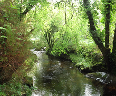 Yoga-World-Neuenburg, Sieglinde Schneider,Müllheim Baden,Netzwerk Freiburger Yogaschule,Yoga Reise