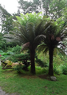 Yoga World Neuenburg, Sieglinde Schneider,Müllheim Baden,Netzwerk Freiburger Yogaschule, Yoga Reise